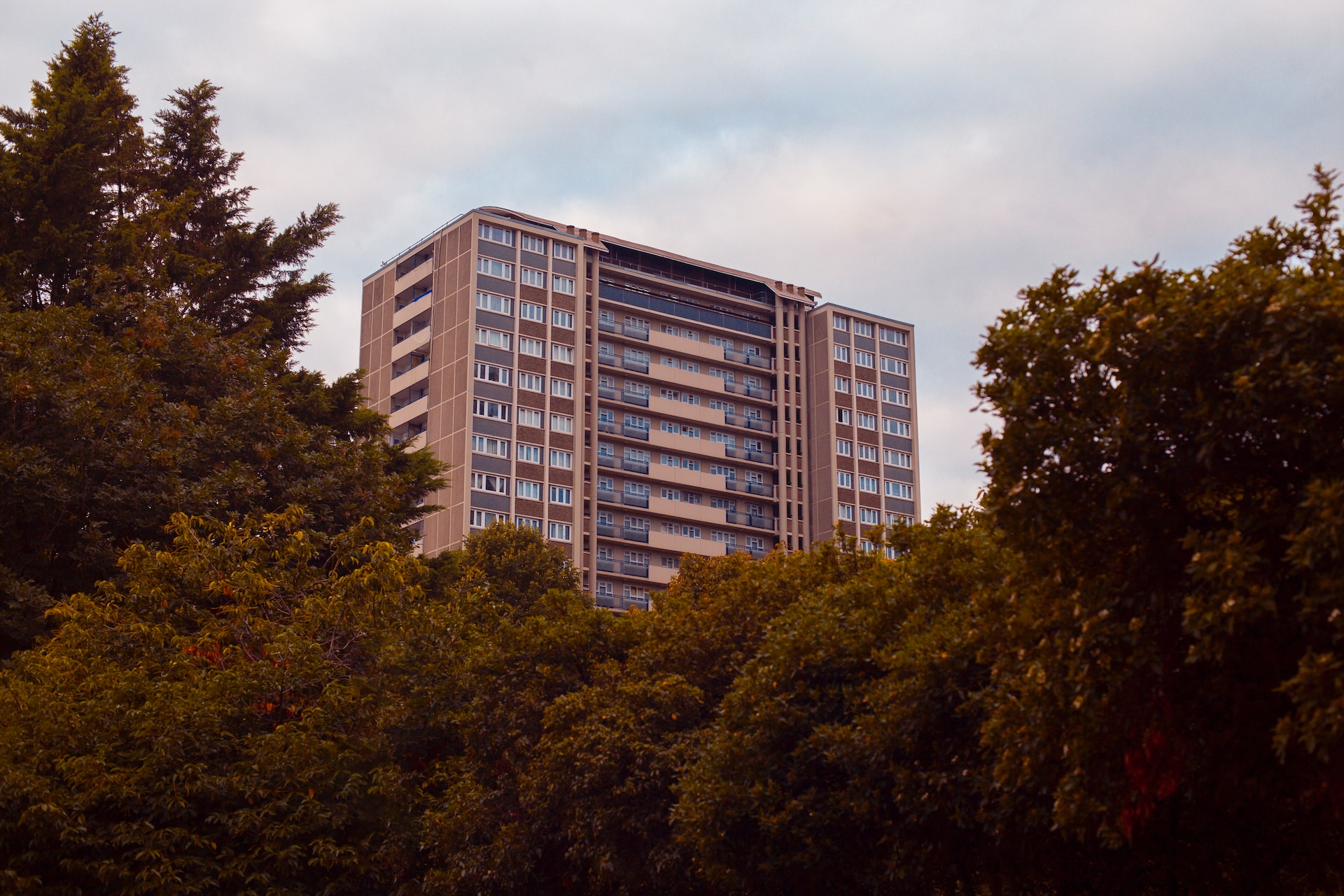 A block of flats in the distance surrounded by trees
