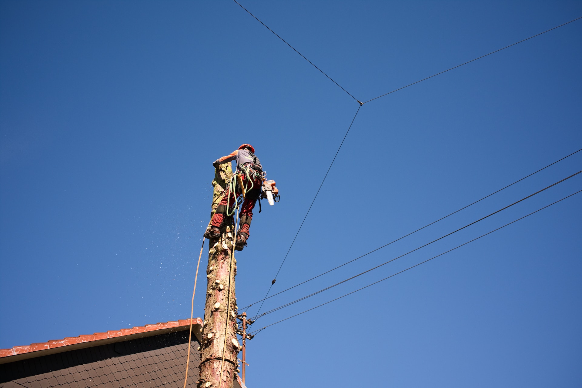 A man on top of a telephone pole