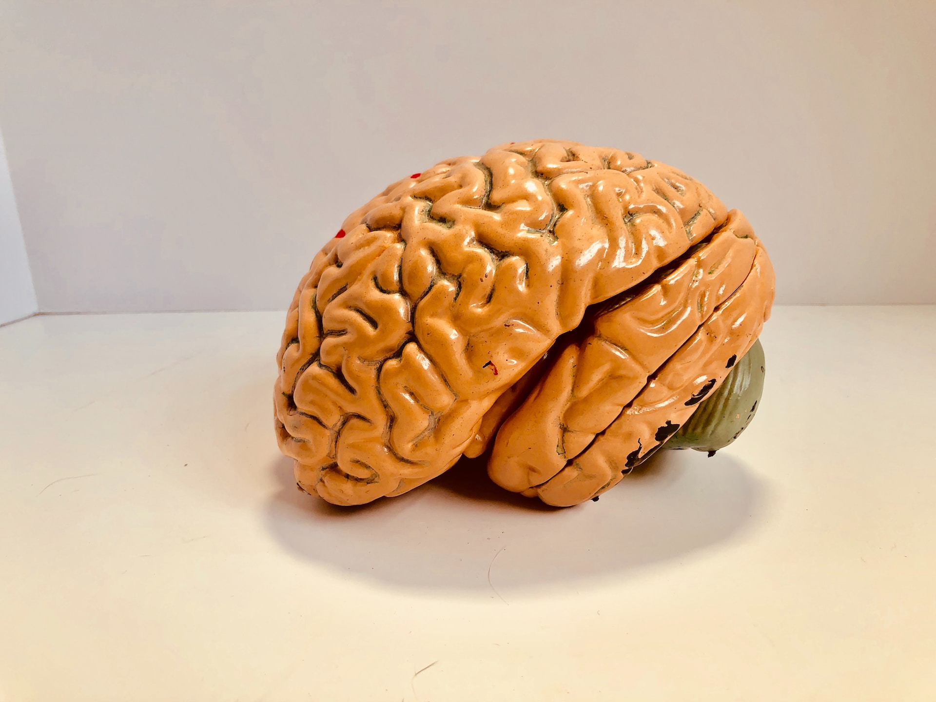 A 3d figure of a brain