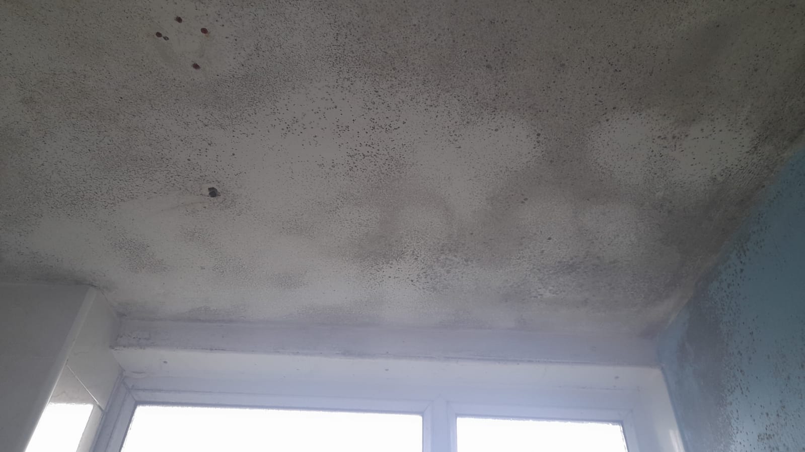 Damp and mould on a roof