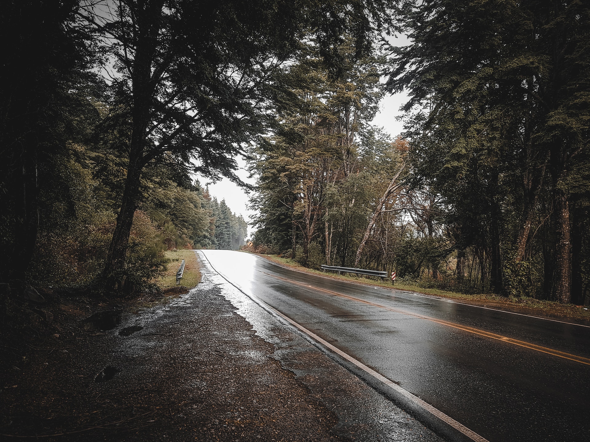 A wet country road