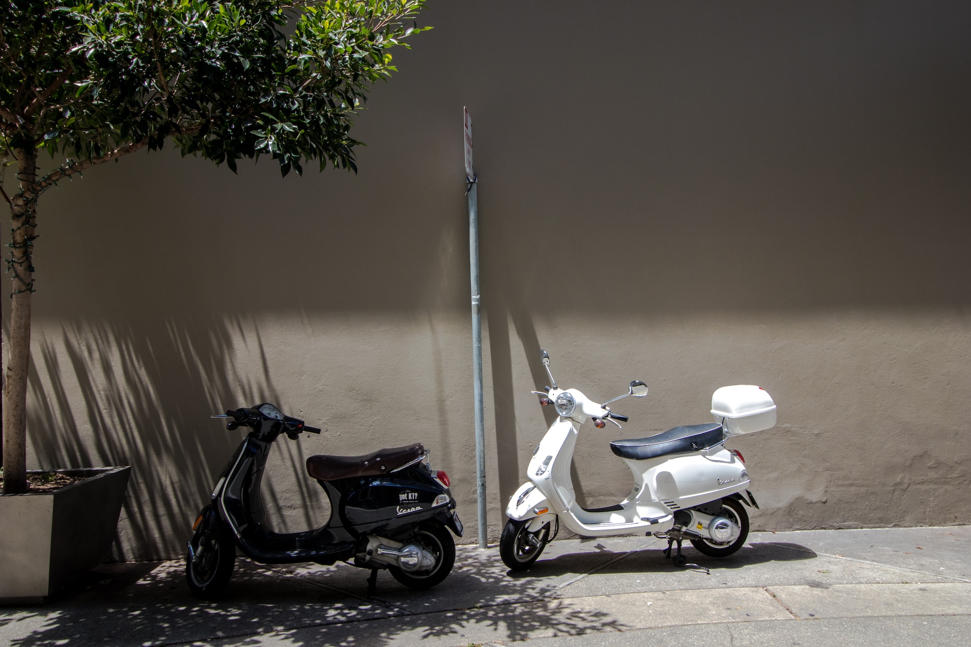 One black and one white moped
