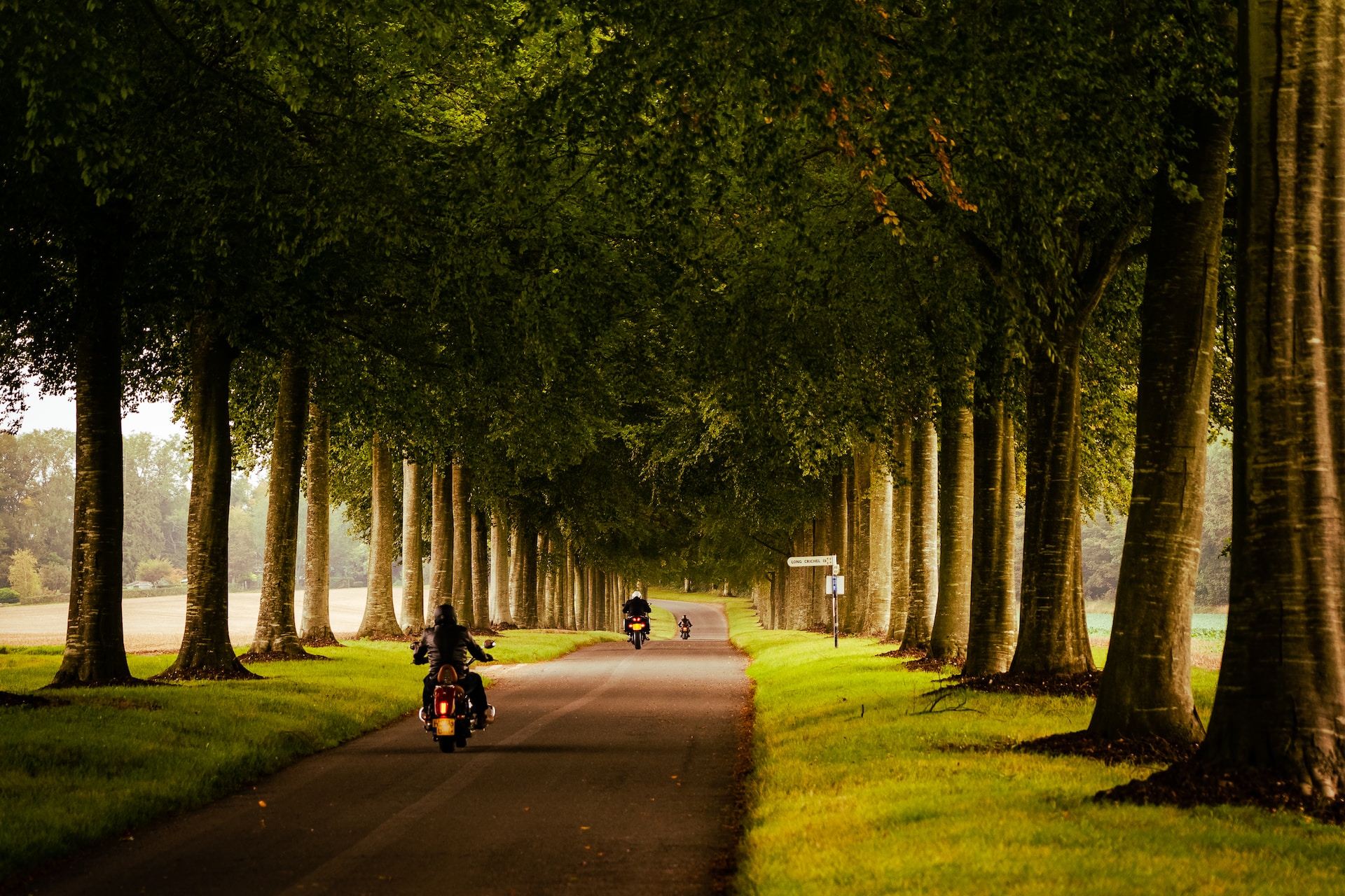 motorbikes driven through a road surrounded by trees