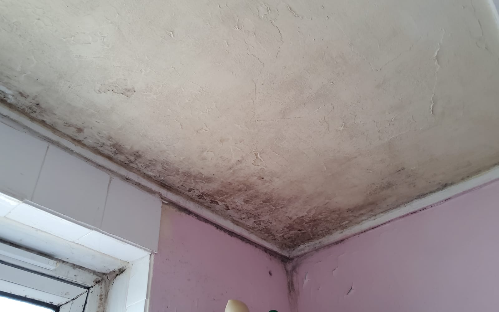 A ceiling with black mould