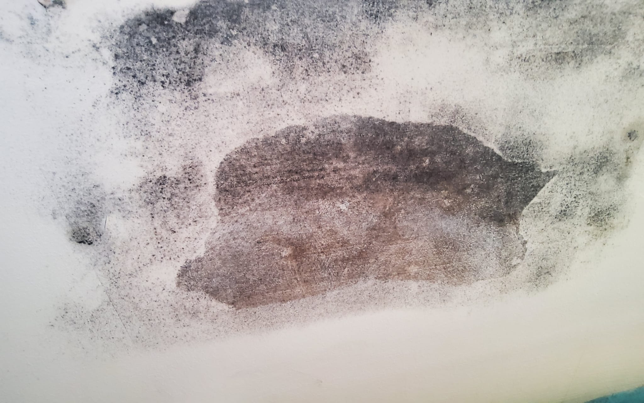 black mould on a wall