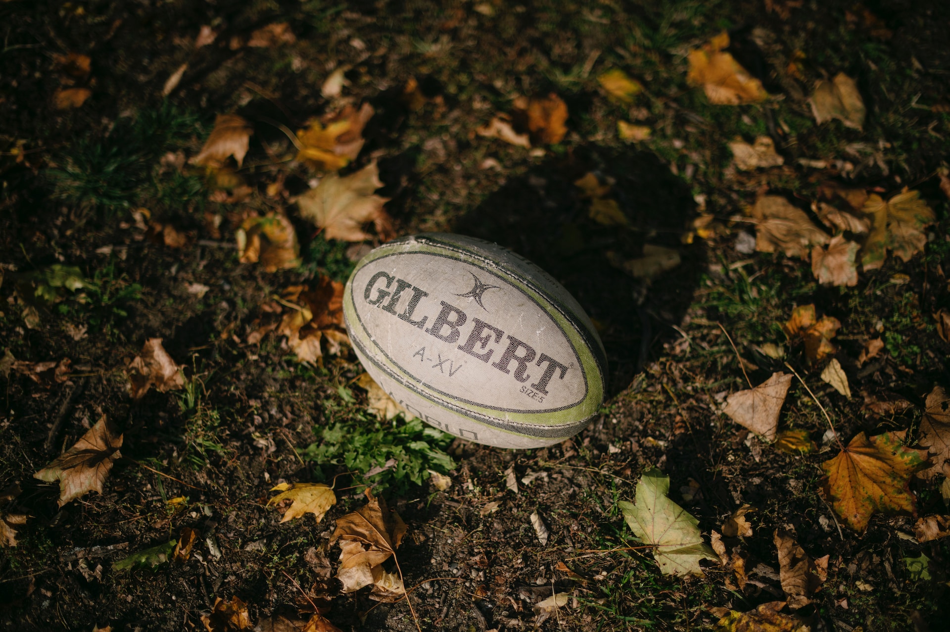 a rugby ball