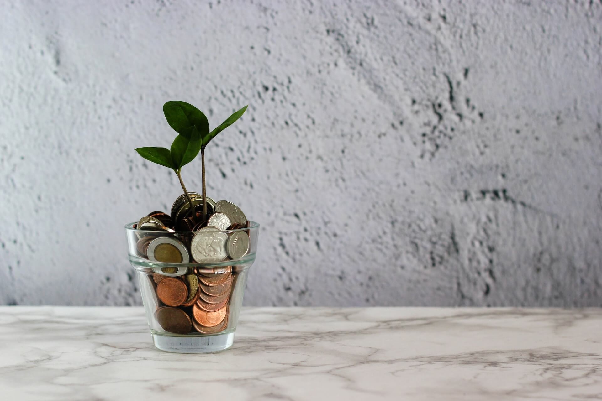A plant growing in a pot filled with coins